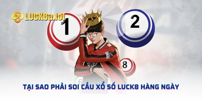 Tại sao phải soi cầu xổ số LUCK8 hàng ngày