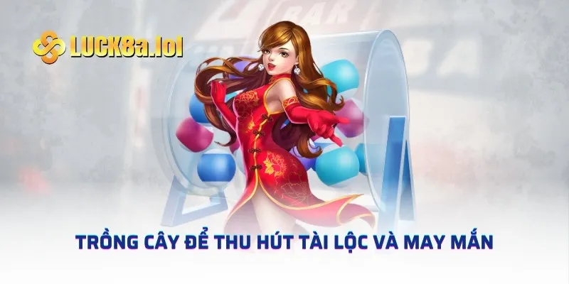 Trồng cây để thu hút tài lộc và may mắn