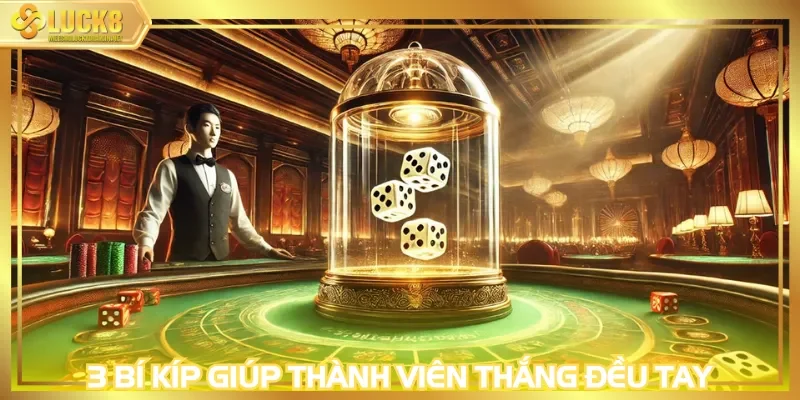 3 bí kíp giúp thành viên thắng đều tay khi chơi xóc đĩa