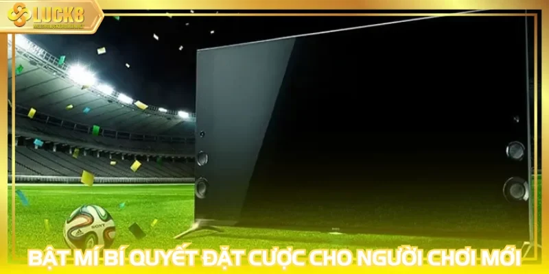 Bật mí bí quyết đặt cược cho người chơi mới