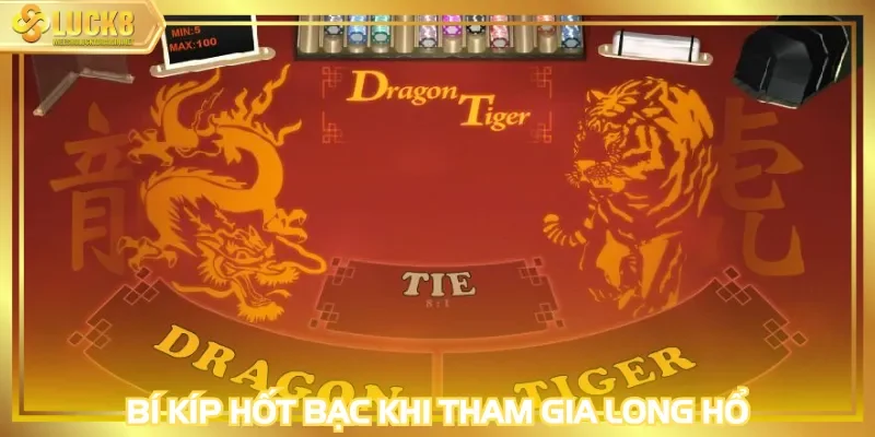 Bí kíp hốt bạc khi tham gia Long Hổ