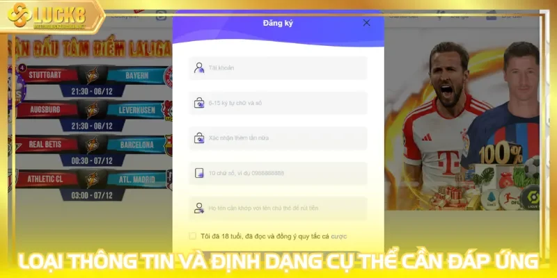 Loại thông tin và định dạng cụ thể cần đáp ứng