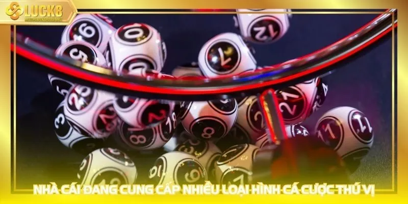 Nhà cái đang cung cấp nhiều loại hình cá cược thú vị