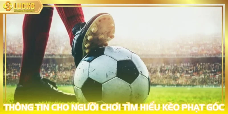 Thông tin cho người chơi tìm hiểu kèo phạt góc