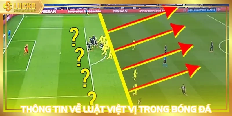 Thông tin sơ lược về luật việt vị trong bóng đá