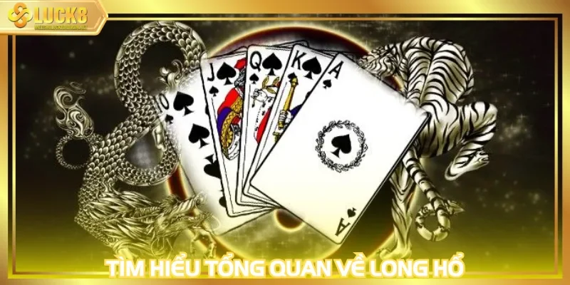 Tìm hiểu tổng quan về Long Hổ